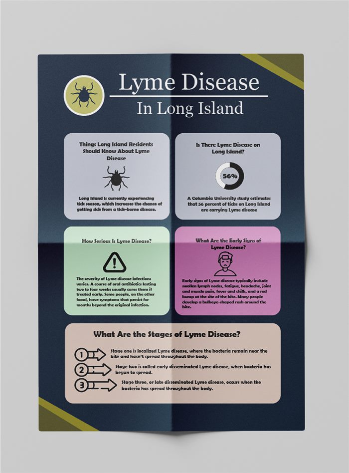 Lyme Disease in Long Island awareness infographic poster with colour-coded information panels